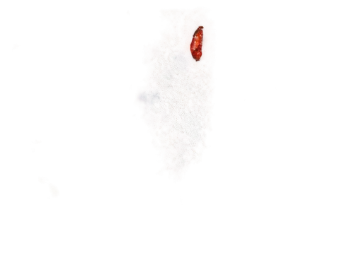 cone nebula,cigar galaxy,centaurus,mamaea,red rectangle nebula,ngc 3034,ngc 4565,ngc 2818,mesostigmata,eagle nebula,methone,orion nebula,red spider nebula,ngc 6514,ngc 6543,ngc 4414,ngc 6523,ngc 6537,carina nebula,trifid nebula,Conceptual Art,Fantasy,Fantasy 12