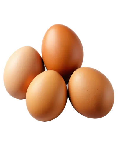 brown eggs,chicken eggs,eggs,egg shells,range eggs,brown egg,goose eggs,egg shell,raw eggs,fresh eggs,colored eggs,white eggs,egg,chicken egg,broken eggs,oeuvres,zoeggler,egg basket,boiled eggs,hen's egg,Illustration,Realistic Fantasy,Realistic Fantasy 01