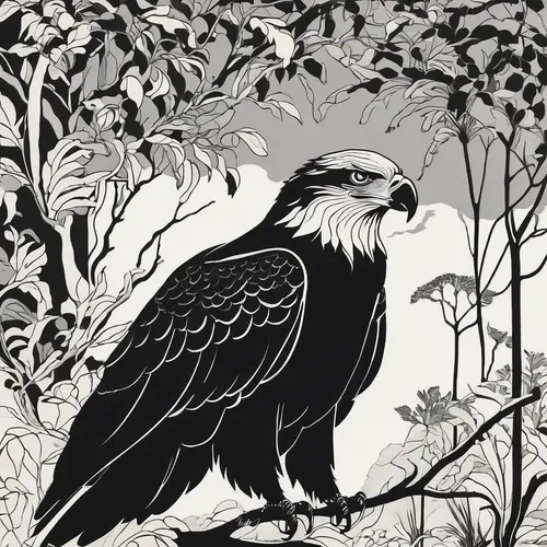 eagle illustration,corvidae,eagle drawing,black crow,magpie,black raven,crows bird,bird illustration,crows,crow,imperial eagle,raven bird,steppe eagle,black vulture,eagle vector,african eagle,crow queen,gryphon,line art birds,murder of crows,Illustration,Black and White,Black and White 24