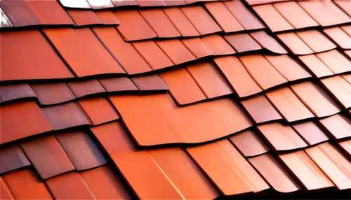 roof tiles,roof tile,tiled roof,roof panels,clay tile,terracotta tiles,red roof,slate roof,roof plate,roofing,shingles,roofing work,house roofs,house roof,metal roof,roofline,almond tiles,roof landscape,tiles shapes,folding roof,Conceptual Art,Fantasy,Fantasy 18