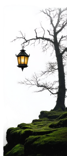 hanging lantern,landscape lighting,illuminated lantern,lantern,street lamps,lampshade,lamplighter,lampshades,iron street lamp,street lamp,streetlamp,gas lamp,outdoor street light,grave light,streetlight,cd cover,tee light,fairy lanterns,lanterns,incidence of light,Art,Artistic Painting,Artistic Painting 28