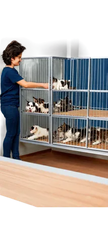 Animal shelter interior, warm lighting, wooden benches, metal cages, happy dogs, sad cats, adorable kittens, cute puppies, volunteers playing with animals, gentle hands petting, soft blankets, clean f