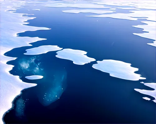 9 composition, high definition, realistic texture, frosty glass-like water surface.,polynya,arctic ocean,ice floe,icebergs,lake baikal,ocean background,icesheets,atoll from above,ice planet,southern o