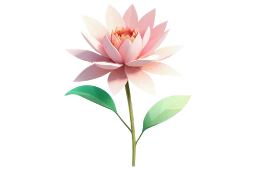 lotus png,flowers png,lotus ffflower,lotus flower,flower illustrative,dahlia pink,lotus blossom,flower illustration,lotus with hands,sacred lotus,flower background,crown chakra flower,minimalist flowers,lotus flowers,rose flower illustration,paper flower background,floral mockup,lotus,lotus art drawing,lotus leaf,Unique,3D,Low Poly