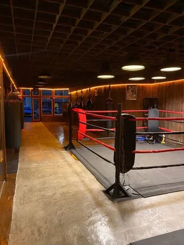 dojo,sportatorium,ringwork,gymnastics room,boxing,boxe,sparred,prefight,muaythai,factory hall,octagon,sanshou,kickboxing,facility,game room,interclub,ringside,basement,fitness facility,antechamber