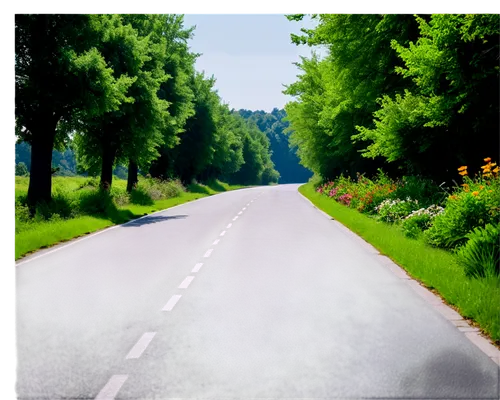 road,open road,empty road,forest road,country road,long road,the road,hockney,asphalt road,racing road,road surface,harkleroad,straight ahead,sonderweg,carretera,mountain road,tramroad,crossroad,road 66,carriageway,Art,Classical Oil Painting,Classical Oil Painting 20