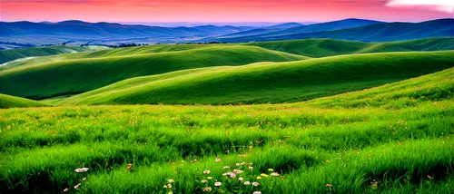 grasslands,grassland,landscape background,green landscape,ricefield,rice fields,meadow landscape,windows wallpaper,rice field,the rice field,ricefields,green meadow,background view nature,philippines scenery,green fields,nature landscape,beautiful landscape,nature background,rice terraces,landscape nature,Illustration,American Style,American Style 06