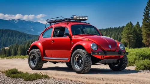 volkswagen beetle,vw beetle,the beetle,beetle,minicooper,forest beetle,Photography,General,Realistic