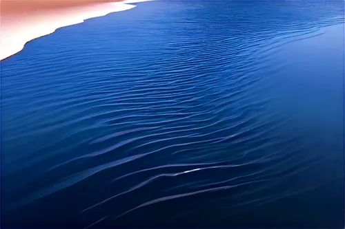 Diagram of the tides, ocean waves, blue water, sunlight reflecting off surface, white foam, detailed ripples, gentle tide movement, shallow composition, soft focus, warm color tone, educational illust