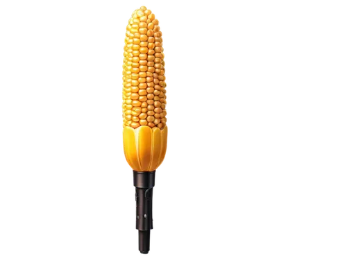 Golden corn, individual kernels, detailed texture, shiny surface, slight rustling sound effect, microphone close-up, warm lighting, shallow depth of field, cinematic composition, realistic rendering.,