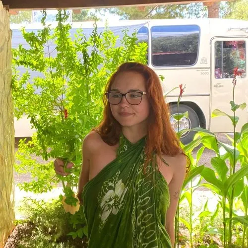 giant leaf,bean plant,tobacco bush,giant goldenrod,corn framing,green beans,beanstalk,sukkot,fern plant,garden fairy,ginger plant,philodendron,monstera,paprika bush,bhutta,pepper plant,leaf fern,plant