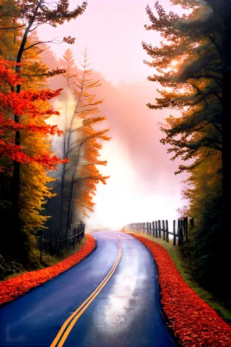 forest road,road,mountain road,the road,country road,open road,long road,asphalt road,maple road,winding road,autumn scenery,autumn background,roads,road forgotten,autumn fog,backroads,winding roads,empty road,backroad,mountain highway,Conceptual Art,Graffiti Art,Graffiti Art 10