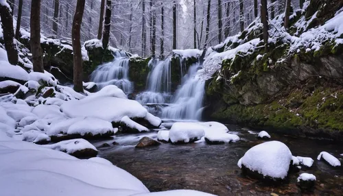 winter forest,the chubu sangaku national park,ilse falls,northern black forest,plitvice,ash falls,brown waterfall,wasserfall,bridal veil fall,snow bridge,mountain stream,cascading,brecon beacons,ardennes,bad urach,water falls,forest of dean,bond falls,fairytale forest,frozen water,Photography,Documentary Photography,Documentary Photography 31