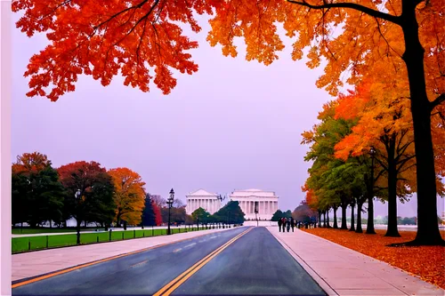 washingtonian,district of columbia,washington dc,united states capitol,arlington cemetery,washingtonienne,jefferson monument,lincoln memorial,rajpath,tree lined avenue,tree-lined avenue,washington,us capitol building,us capitol,cinquantenaire,jefferson memorial,capitol buildings,white house,tomb of the unknown soldier,inaug,Illustration,Paper based,Paper Based 15