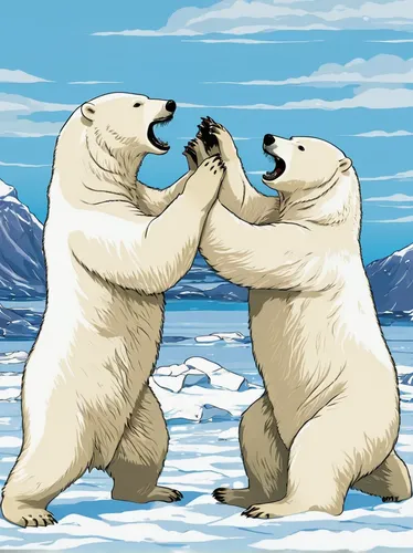 Polar bears spar in the Churchill Wildlife Management Area.,polar bears,polar bear children,ice bears,ice dancing,icebear,fist bump,icebreaker,arm wrestling,ice bear,brown bears,hold hands,bears,the p