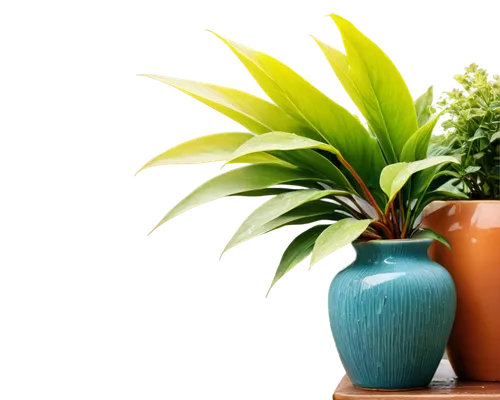 potted palm,plants in pots,ornamental plants,potted plant,houseplant,house plants,potted plants,wooden flower pot,plant pot,garden pot,exotic plants,money plant,ornamental plant,plant pots,terracotta flower pot,container plant,pot plant,perennial plants,green plants,dark green plant,Illustration,Retro,Retro 14