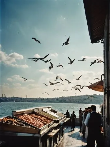 Besiktas Fish Market, Istanbul, Turkey, modern architecture, Gad-designed, steel structure, glass facade, wooden accents, vibrant turquoise color scheme, intricate tile patterns, natural light pouring