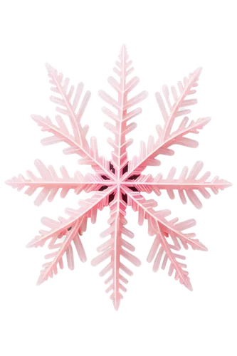 snowflake background,red snowflake,christmas snowflake banner,wreath vector,snow flake,snowflake,pink vector,white snowflake,gold foil snowflake,snowflakes,ice crystal,christmas snowy background,christmas tree pattern,fire flakes,christmas motif,palm tree vector,summer snowflake,blue snowflake,crystalline,christmas pattern,Unique,3D,Garage Kits