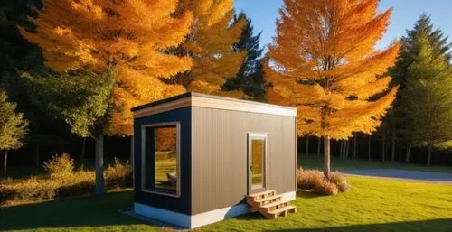 autumn camper,inverted cottage,metasequoia,outhouse,shelterbox,small cabin