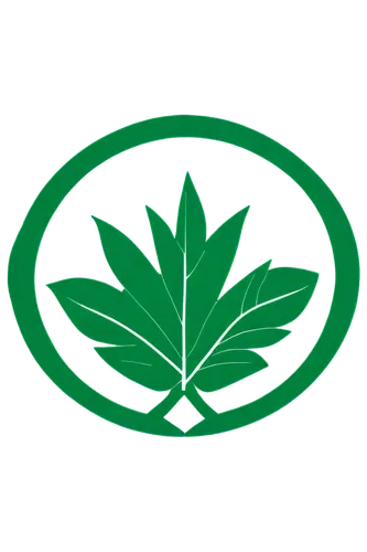 mape leaf,lotus leaf,leaf background,lotus png,green leaf,greenleft,leaf icons,pokok,custody leaf,dispensaries,verde,broadleaf,patrol,arrow logo,hariri,growth icon,koike,hamadan,cannabidiol,hikawa,Illustration,Vector,Vector 20