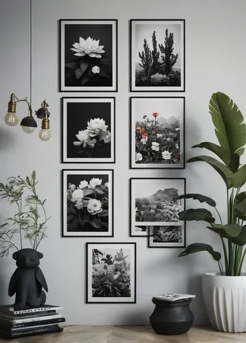 botanical frame,aquarium decor,ikebana,the living room of a photographer,monochrome photography,frame flora,floral silhouette frame,flowers frame,wall decor,flower frames,flower wall en,exotic plants,interior decor,floral corner,still life photography,flowering plants,amaryllis family,photo frames,botanical square frame,bamboo plants,Art,Artistic Painting,Artistic Painting 31