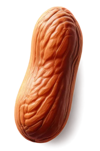 mitochondrion,almonds,pecan,almond nuts,mitochondria,unshelled almonds,italian nuts,almond,chocolate-coated peanut,salted almonds,kidney bean,pine nuts,walnut,indian almond,tree nut,isolated product image,pine nut,praline,pralines,soy nut,Conceptual Art,Fantasy,Fantasy 21
