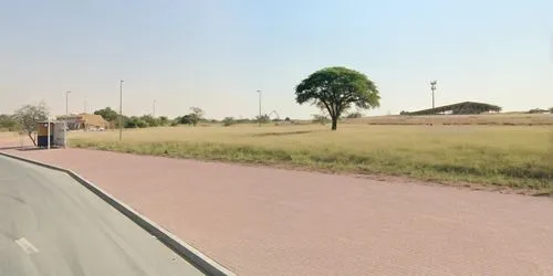 Replaced by Savanna grassland and an typical savanna trees,street view,jaarsveld,diyala,rabwah,shahrestan,motorway,road through village,anbar,dual carriageway,jubail,rundu,carriageways,zubarah,al qudr