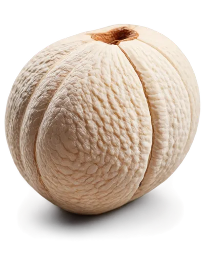 muskmelon,caciocavallo,cantaloupe,cantalupo,acorn,white pumpkin,cantalamessa,pomelos,coconut ball,cobolli,gourd,cucurbita,pomelo,satsuma,persian onion,calabaza,onion seed,cantaloupes,peeled,minneola,Art,Classical Oil Painting,Classical Oil Painting 13