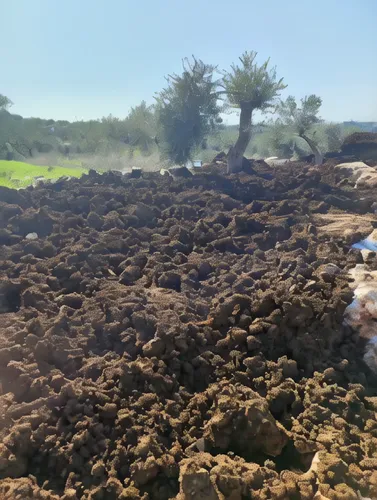 soil erosion,sweet potato farming,clay soil,pile of dirt,cow dung,stock farming,judaean desert,rafeiro do alentejo,alentejo,overburden,argan trees,laterite,salt farming,compost,mound of dirt,potato fi