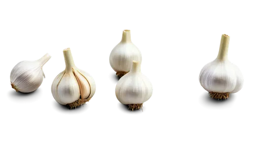 cultivated garlic,garlic bulbs,clove garlic,clove of garlic,a clove of garlic,garlic bulb,onion bulbs,chinese garlic,cloves of garlic,garlic cloves,head of garlic,garlic,hardneck garlic,persian onion,bulbs,elephant garlic,meerschaum pipe,white onions,tulip white,pearl onion,Illustration,Abstract Fantasy,Abstract Fantasy 08