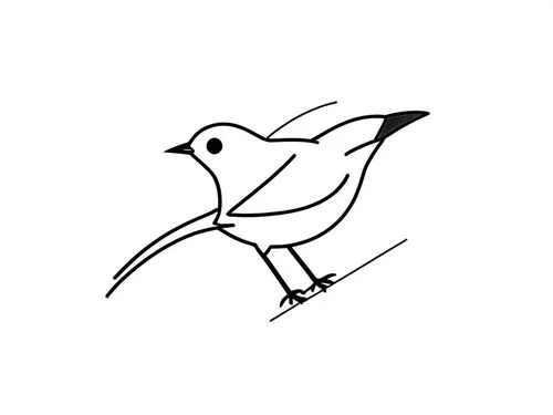 a bird with the line drawing style,line art birds,bird outline,bird drawing,bird png,bird illustration,quickbird,titmouse,luginbill,gnatcatcher,birds outline,catbird,bird robin,pajaro,song bird,tailor