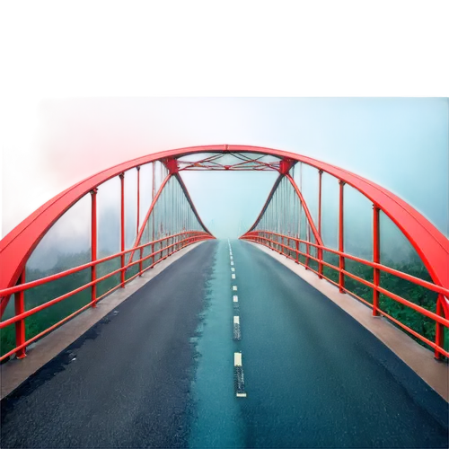 road bridge,bridge,tied-arch bridge,extradosed bridge,hohenzollern bridge,moveable bridge,girder bridge,highway bridge,bridge new europe,tangshan railway bridge,danube bridge,truss bridge,segmental bridge,footbridge,passerelle,concrete bridge,swing bridge,cantilever bridge,beam bridge,brug,Conceptual Art,Daily,Daily 07