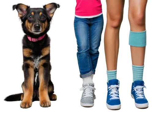 doglegs,pinscher,dog photography,color dogs,derivable,basenji,dog frame,image editing,dog clothes,girl with dog,size comparison,doggedly,image manipulation,malinois and border collie,mixed breed,female dog,sighthounds,veterinarians,mixed breed dog,different socks,Conceptual Art,Oil color,Oil Color 05