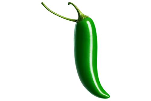 serrano pepper,serrano peppers,snap pea,peperoncini,pea,chile de árbol,jalapeño,chile pepper,green pepper,poblano,bellpepper,jalapenos,patrol,chilli pods,green paprika,chilli,pepino,okra,pimiento,chillies,Illustration,Paper based,Paper Based 26