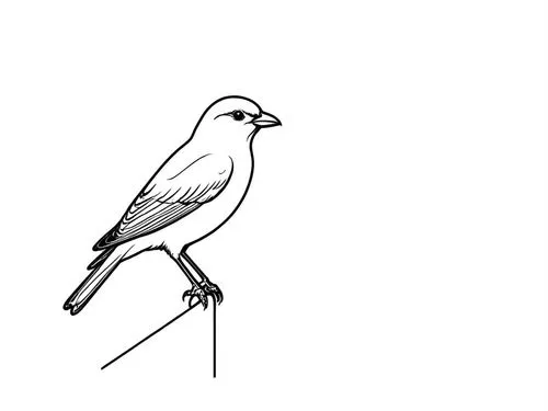 a drawing of a bird perched on top of a stick,black-winged kite,line art birds,black-shouldered kite,bird drawing,bird illustration,bird outline,Design Sketch,Design Sketch,Rough Outline