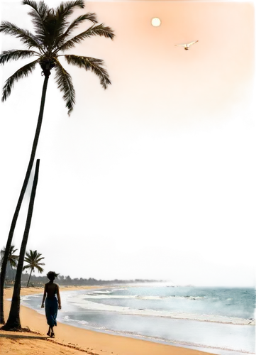 beach landscape,photo painting,beach scenery,lihue,beach background,waialae,dream beach,anare,hawaii,barotropic,world digital painting,plage,waikiki beach,sunset beach,tropical sea,outrigger,hawai,south pacific,varkala,tropical beach,Art,Artistic Painting,Artistic Painting 29