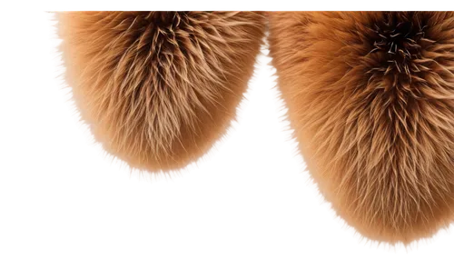 fur,animal fur,foxtail,achenes,forepaws,tribbles,ostrich feather,pelts,light fur,wheat ear,furs,sheepskin,furr,metasequoia,plumes,pompons,coprinus,furrier,derivable,tribble,Conceptual Art,Fantasy,Fantasy 07