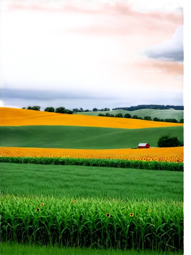 wheat crops,wheat fields,cornfield,wheat field,farmland,corn field,cornfields,wheatfield,prairies,grain field,palouse,landschaft,rapeseed,farm landscape,cropland,field of cereals,barley field,wheat grasses,polder,field of rapeseeds,Illustration,Realistic Fantasy,Realistic Fantasy 41