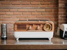 saregama,tube radio,grundig,digital bi-amp powered loudspeaker,portable radio,ruark