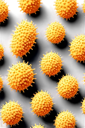 Infected granulos, full of pus, close-up, macro shot, high contrast lighting, detailed texture, yellowish color tone, 3D-like rendering, shallow depth of field, medical theme, realistic style.,polyoma