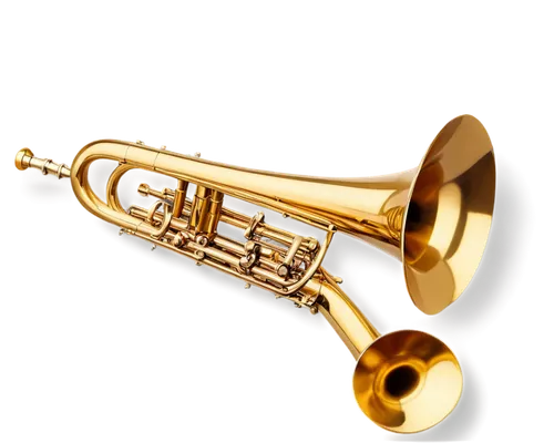 brass instrument,saxhorn,american climbing trumpet,gold trumpet,climbing trumpet,trumpet gold,flugelhorn,instrument trumpet,tuba,trumpet,fanfare horn,tenor saxophone,trumpet shaped,trumpet valve,wind instrument,trumpet of jericho,saxophone,mellophone,trumpeter,embouchure,Photography,Black and white photography,Black and White Photography 03