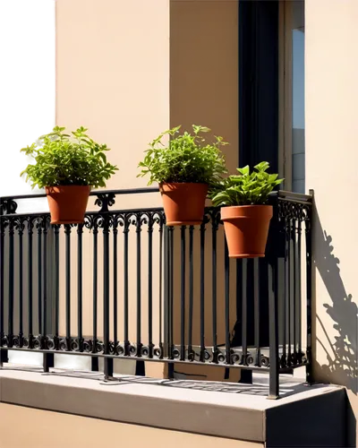 balcony garden,balcony plants,paris balcony,block balcony,balcony,potted plants,balcones,balconies,balustrades,balconied,balcon,window sill,windowsills,balustrade,terrace,plant pots,wrought iron,verandahs,planters,terrasse,Conceptual Art,Oil color,Oil Color 13