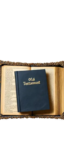 inerrant,prayerbook,prayer book,inerrancy,new testament,prayerbooks,talmud,tanakh,pentateuch,bibel,book gift,lectionaries,holy bible,dispensational,mitzvot,artscroll,old testament,siddur,hymnbook,hymn book,Conceptual Art,Graffiti Art,Graffiti Art 11