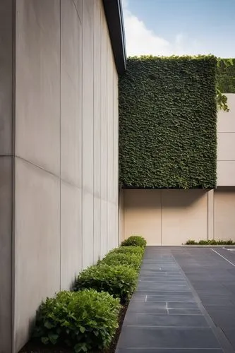 Modern architectural building, sleek lines, rectangular shapes, urban cityscape, warm beige walls, dark grey window frames, silver metal accents, lush greenery, ivy climbing up walls, concrete pavemen