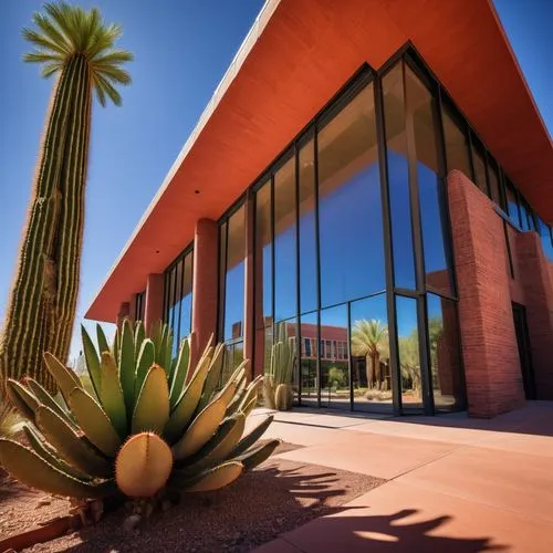 arizona-sonora desert museum,organ pipe cactus,desert plant,arcosanti,sonoran,sonoran desert,wickenburg,cactuses,gammage,agaves,phototherapeutics,dutchman's-pipe cactus,desert plants,tucson,mid century modern,tuscon,agave,scottsdale,tempe,hillenbrand,Conceptual Art,Sci-Fi,Sci-Fi 08