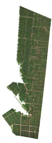 satellite image,satellite imagery,dji agriculture,srtm,farmlands,harghita county,aroostook county,furrow,landscape plan,furrows,fruit fields,flight image,aerial photograph,land lot,illinois,tileable p