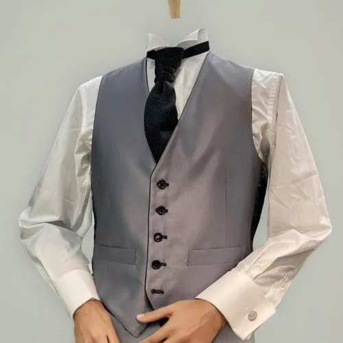 顔を付ける,waistcoat,men's suit,tailcoat,wedding suit,waistcoats,tailcoats,tailoring,formalwear,cummerbund,tuxes,tuxedo,suit of spades,tailor,tuxedoes,shirtmaker,men clothes,tuxedo just,tailors,placket,gua