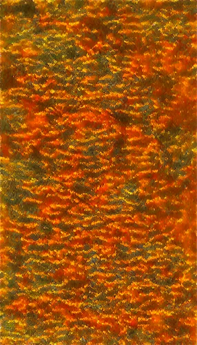 textile,fabric texture,kngwarreye,basket fibers,chameleon abstract,fibers,brocade carp,carrot pattern,wavelet,whirlpool pattern,brocade,color texture,carpet,jacquard,embroils,moquette,bloodworm,red thread,knitted christmas background,dishrag,Photography,Fashion Photography,Fashion Photography 21