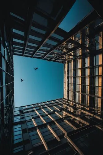 skyscraper,skycraper,vertigo,sky apartment,vertiginous,above the city,skyscraping,skyways,skywalks,bird perspective,airspaces,skyscrapers,the skyscraper,flyover,atriums,air transportation,aeronautical,aeronautic,macroperspective,sky,Photography,General,Fantasy