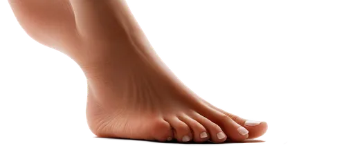 foot reflexology,foot model,sclerotherapy,podiatrists,foot reflex zones,foot reflex,lipolysis,reflexology,podiatry,reflex foot sigmoid,tibialis,lymphedema,reflex foot kidney,supination,hindfeet,neuroma,dorsiflexion,fasciae,podiatrist,orthotics,Illustration,Vector,Vector 11